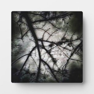 Plaque Photo Fermeture