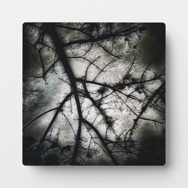 Plaque Photo Fermeture (Devant)