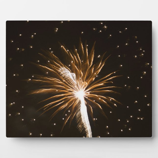 Plaque Photo Feu d'artifice sur la rivière Savannah (Devant)