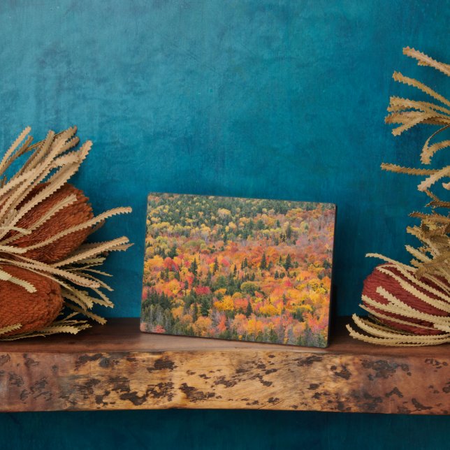 Plaque Photo Feuillage d'automne | Péninsule de Keweenaw, Michi (Côté)
