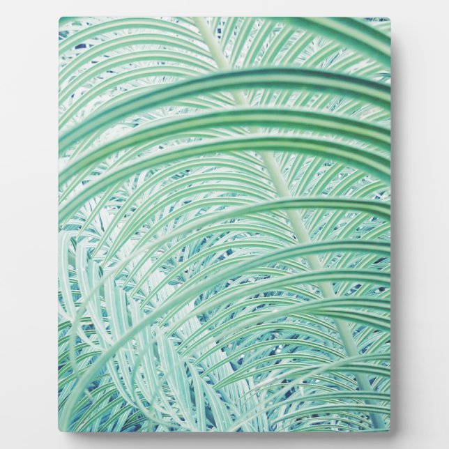 Plaque Photo Feuille de palmier de plante verte douce (Devant)