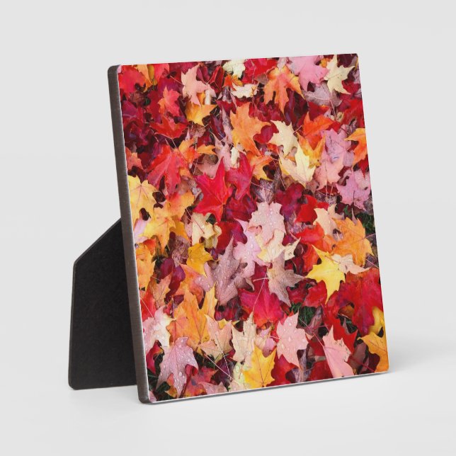 Plaque Photo Feuilles d'automne colorées (Recto)