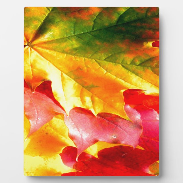 Plaque Photo Feuilles d'automne Personnalisez-le Jaune, Rouge,  (Devant)