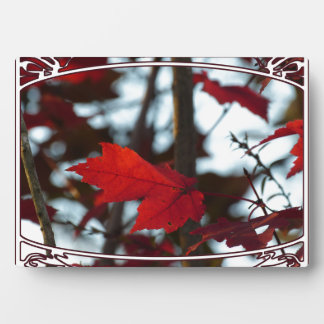 Plaque Photo Feuilles de vacances