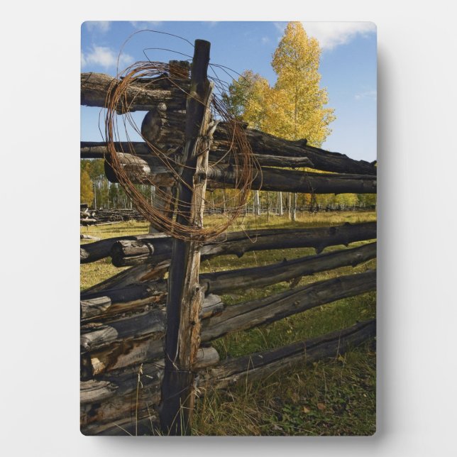 Plaque Photo Fil Barbe (Devant)