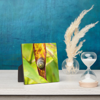Plaque Photo fixation calme