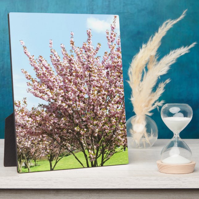 Plaque Photo Fleur de cerise (Côté)