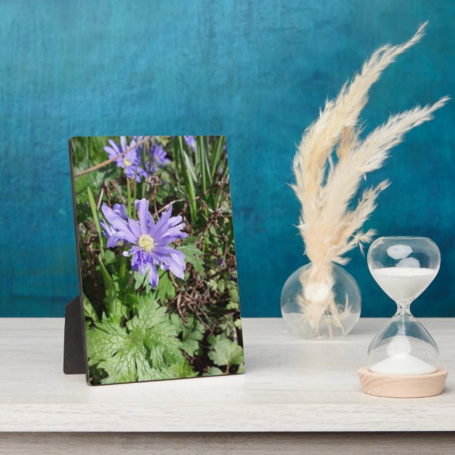 Plaque Photo Fleur de jardin bleu (Côté)
