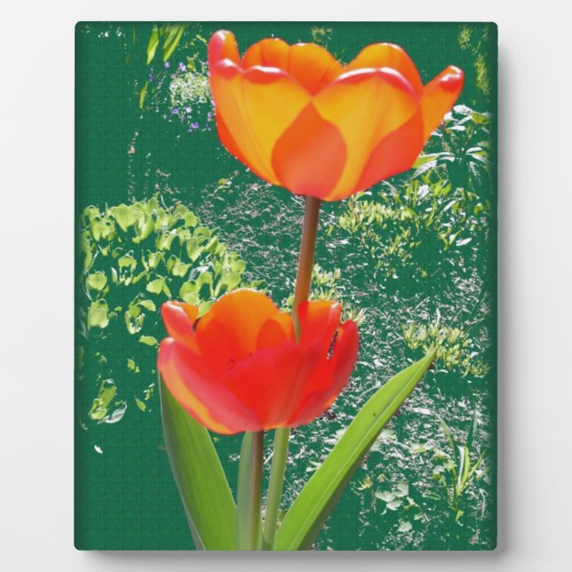 Plaque Photo Fleur orange (Devant)