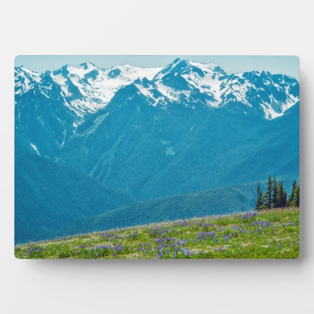 Plaque Photo Fleur sauvage et Montagnes (Devant)