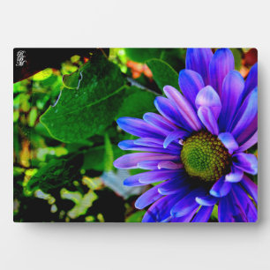 Plaque Photo Fleur violette brillante