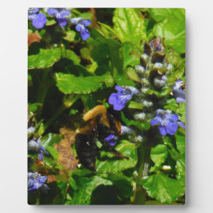 Plaque Photo Fleur violette et abeille boursouflante