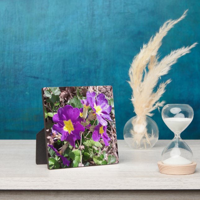 Plaque Photo Fleurs de jardin pourpres (Insitu)