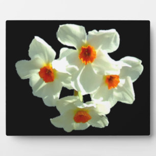 Plaque Photo Fleurs de jonquille sur les produits cadeaux