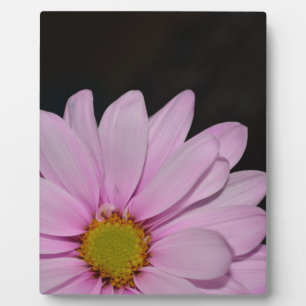 Plaque Photo Fleurs de marguerite en fleurs Paix Amour Nature D
