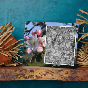 Plaque Photo Fleurs de printemps gaies Ajoutez votre propre pho