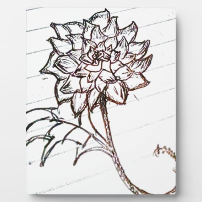 Plaque Photo fleurs de roses blanches (Devant)