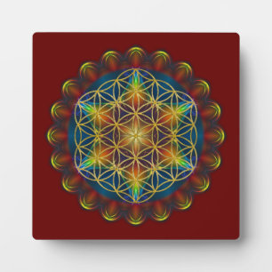 Plaque Photo FLEURS DE VIE / Blume des Lebens - Mandala III