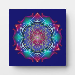 Plaque Photo FLEURS DE VIE / Blume des Lebens - Mandala IV