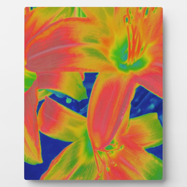 Plaque Photo fleurs fluorescentes (Devant)