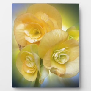 Plaque Photo fleurs jaunes brillant