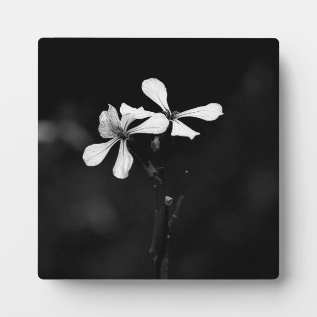 Plaque Photo floral noir et blanc minimal (Devant)