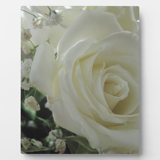 Plaque Photo Floral rose (Devant)