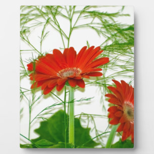 Plaque Photo Floral rouge