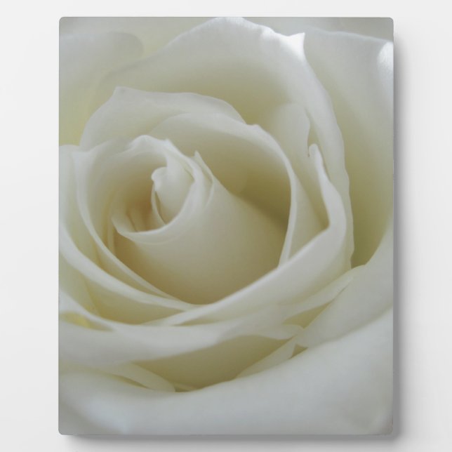 Plaque Photo Flore (Devant)