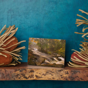 Plaque Photo Flux Flux Sentier Appalachien Vermont