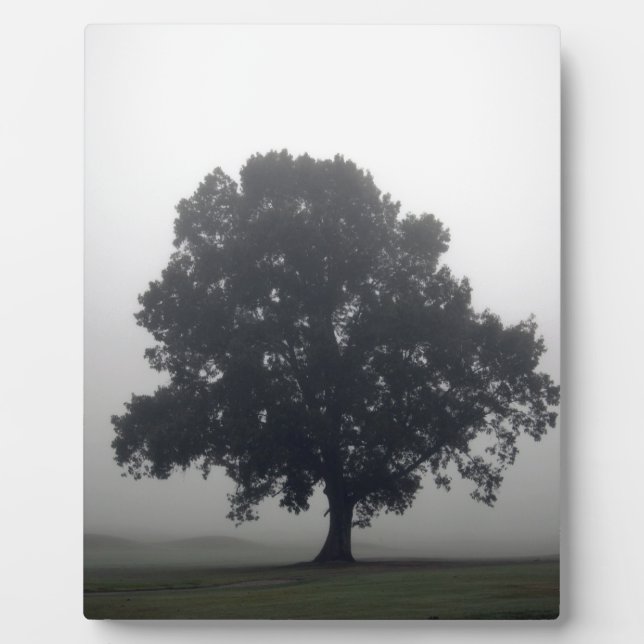 Plaque Photo Foggy Tree (Devant)