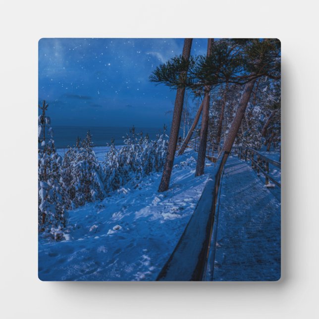 Plaque Photo Forest path at winter night (Devant)