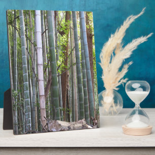 Plaque Photo Forêt géante japonaise de bambou, Sagano, Kyoto, J