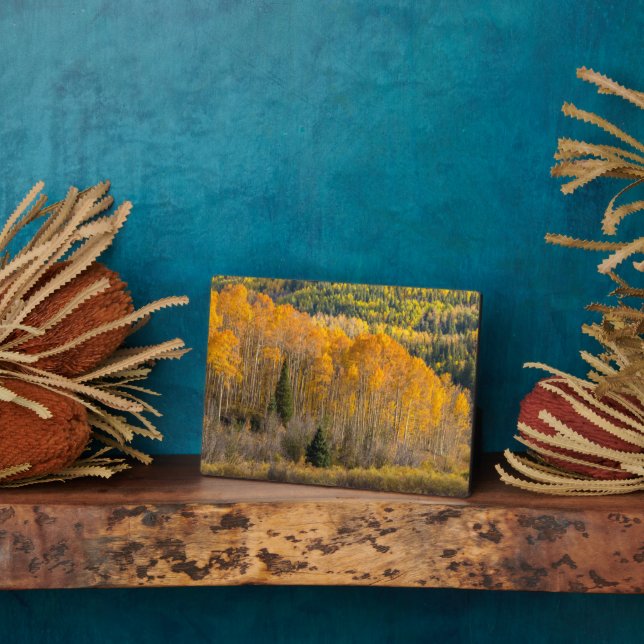 Plaque Photo Forêt nationale de Gunnison (Côté)