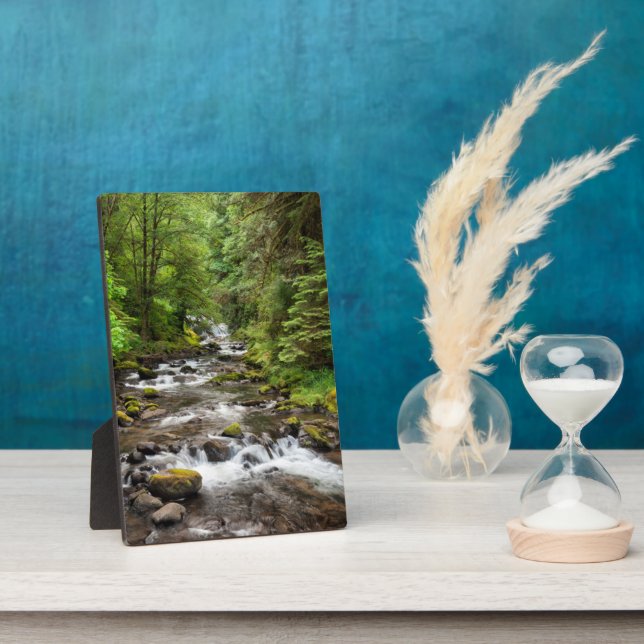 Plaque Photo Forêt nationale de Siuslaw | Sweet Creek (Côté)