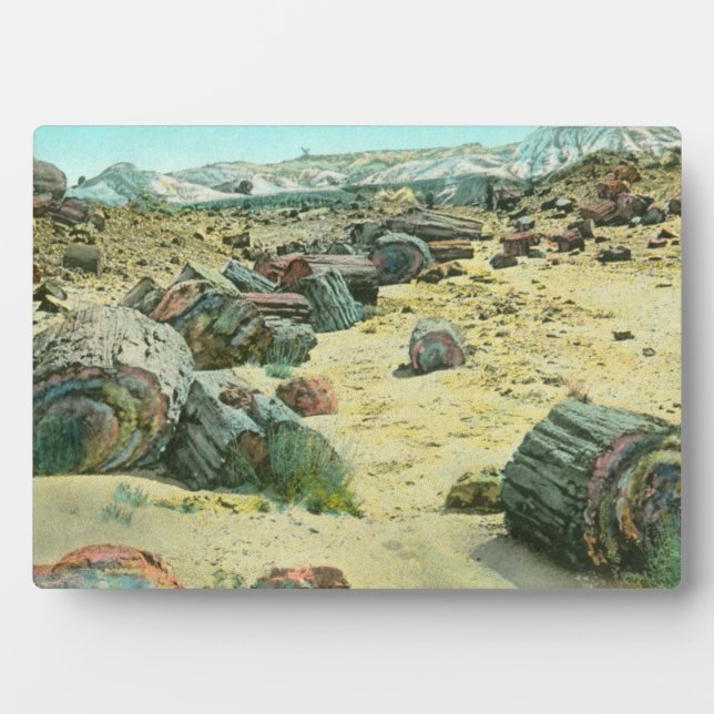 Plaque Photo Forêt pétrifiée (Devant)