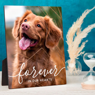 Plaque Photo Forever in our Hearts Pet Memorial Dog Photo