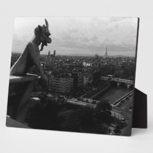Plaque Photo France vintage Paris Cathédrale Notre-Dame diable