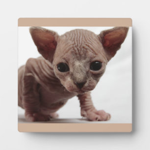 Plaque Photo Freaky Cute Furless