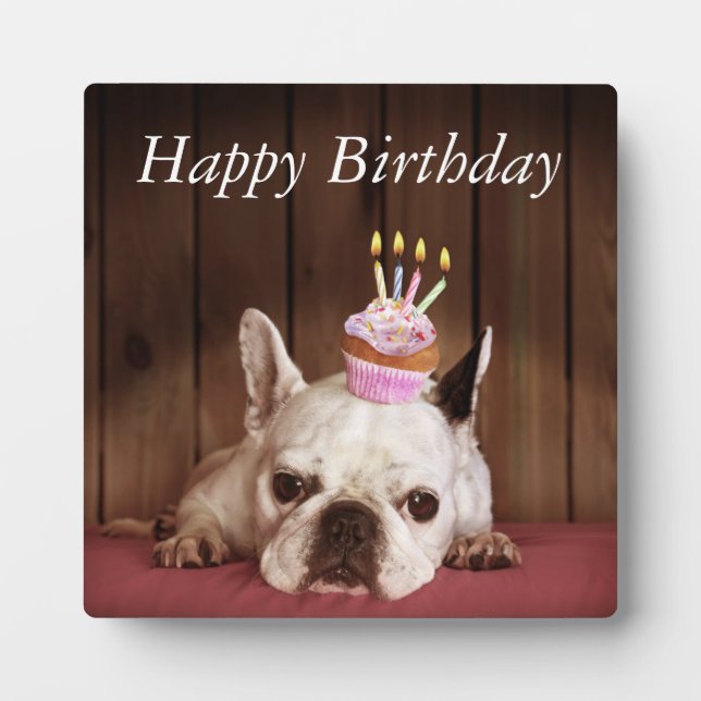 Plaque Photo French Bulldog With Birthday Cupcake (Devant)