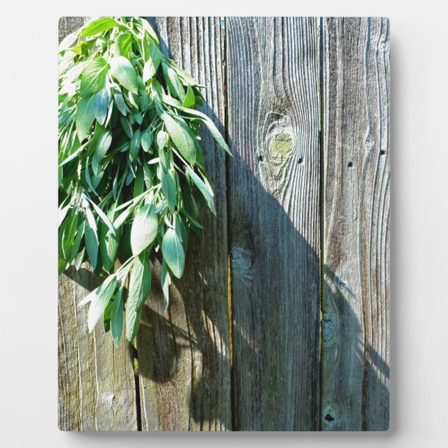 Plaque Photo Fresh-cut Sage Barn-wood (Devant)