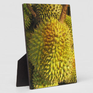 Plaque Photo Fruit durian