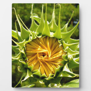 Plaque Photo Fun jaune floral tournesol