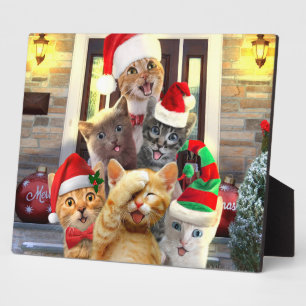 Plaque Photo Funny kittens