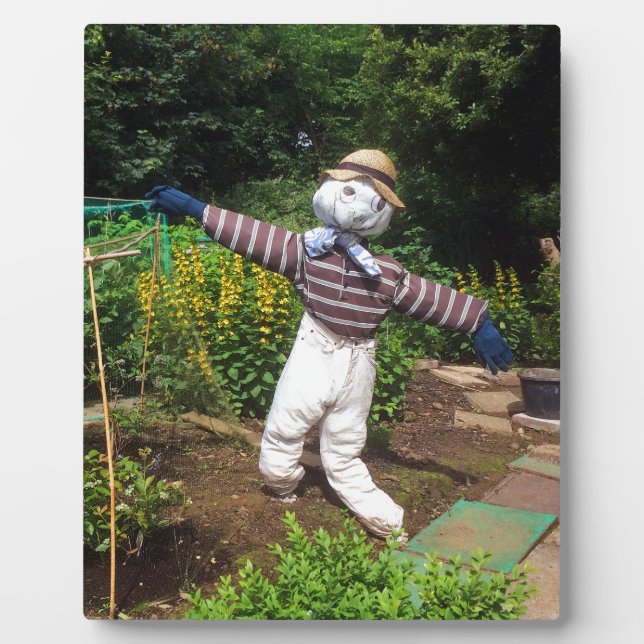 Plaque Photo Funny scarecrov (Devant)