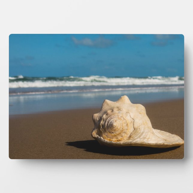 Plaque Photo Future Beach (Devant)