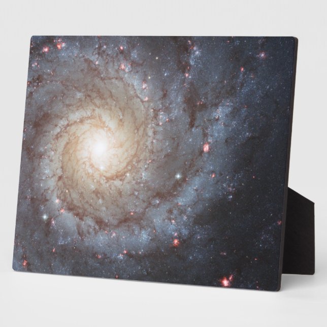 Plaque Photo Galaxie spirale M74 10x8 (Côté)