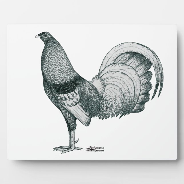 Plaque Photo Gamecock Crele ou Dom (Devant)