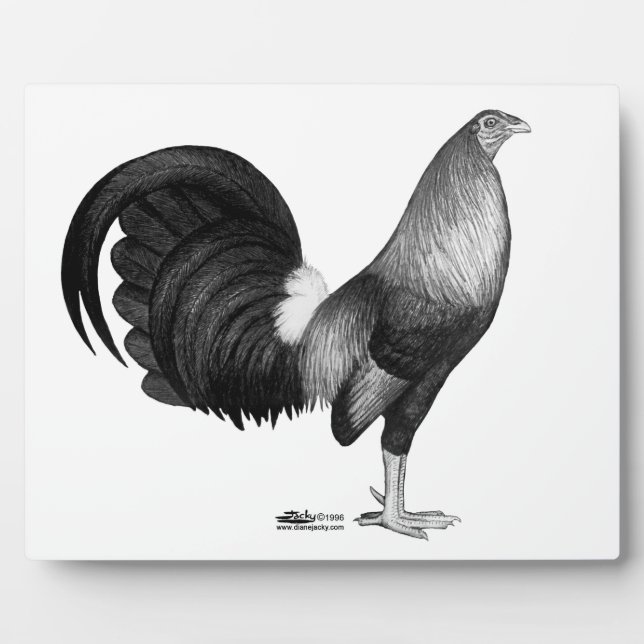 Plaque Photo Gamecock Red Hatch (Devant)