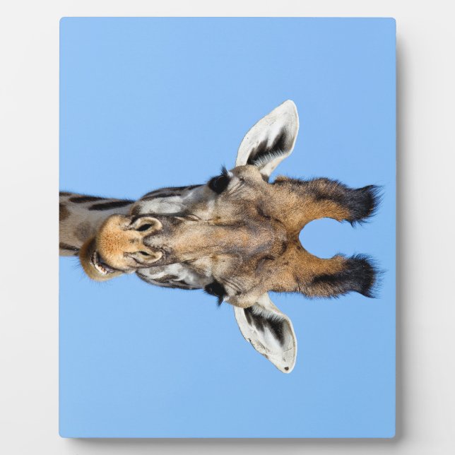 Plaque Photo Giraffe (Devant)
